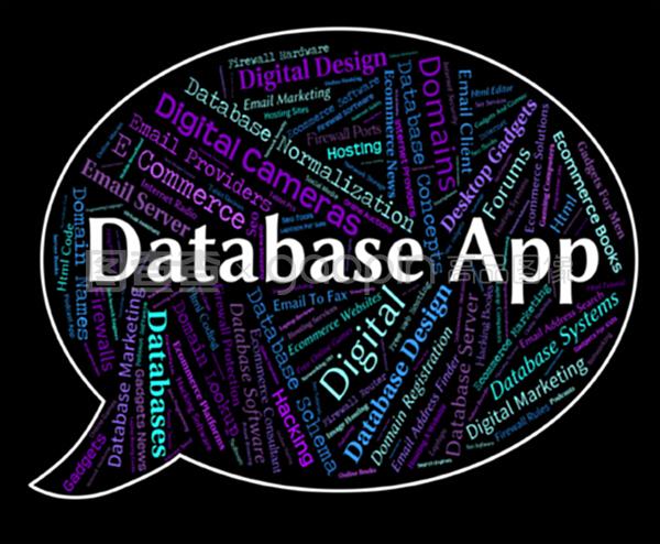 數據庫應用程序與軟件開發的關系